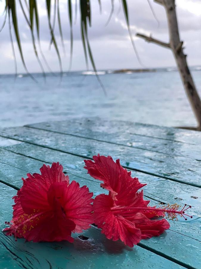 Ocean House Holiday home Matara
