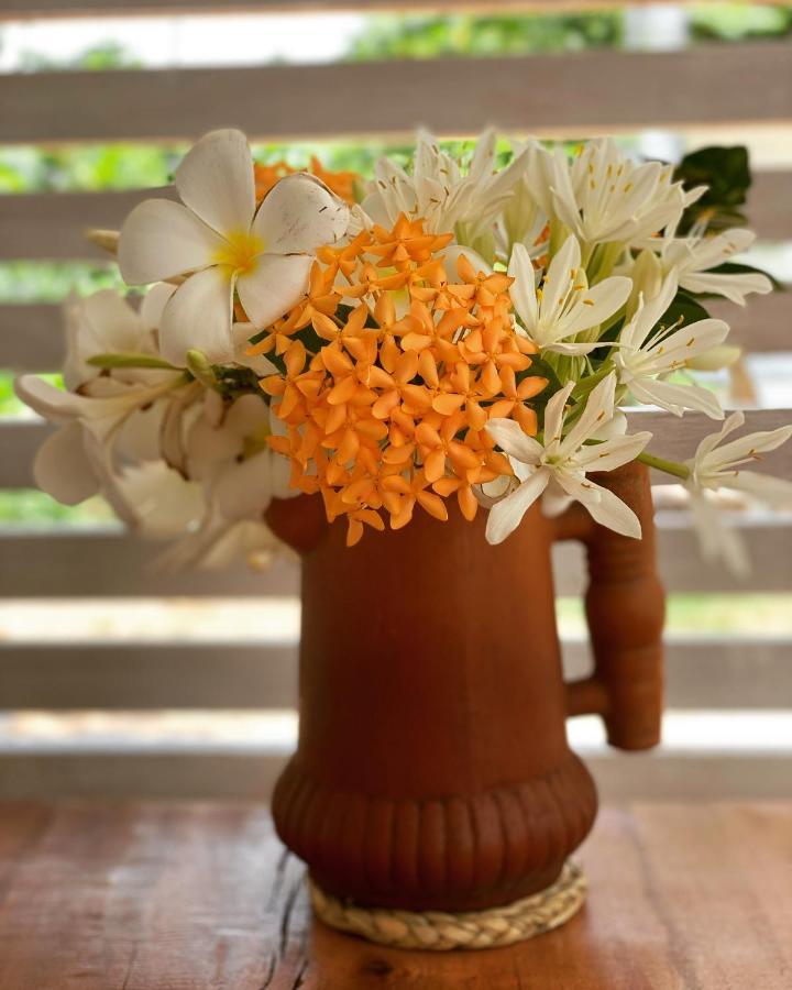 Holiday home Ocean House Matara